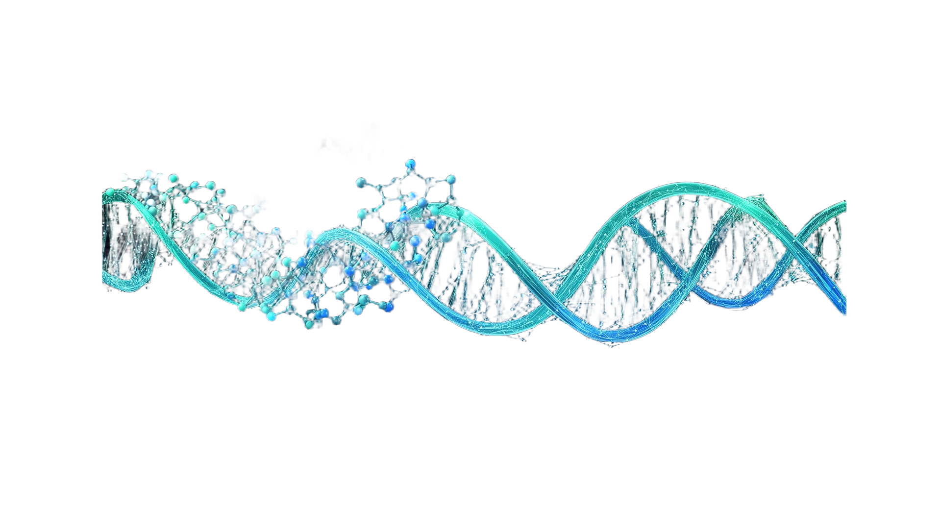 Peptide molecule image
